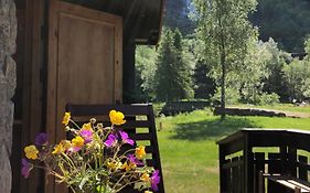 Vassbakken Kro og Camping